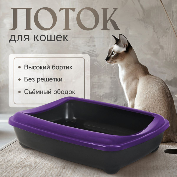 Кошачий лоток "Мечта кошки" Фиолетовый/черный - купить с доставкой по ...