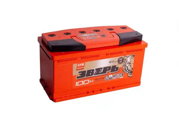 Аккумулятор автомобильный ЗВЕРЬ Зверь EFB купить по выгодной цене в ...