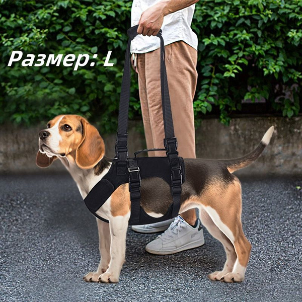 Полная поддержка для средних и крупных собак. Ходунки для пожилых и ...