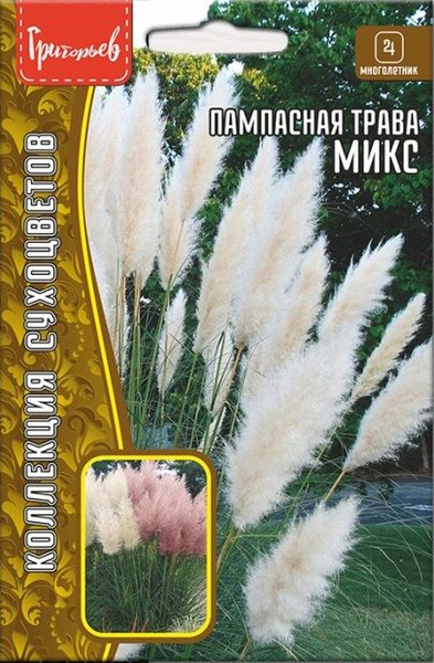 Кортадерия, Пампасная трава Григорьев Пампасная трава (кортадерия) Микс ...