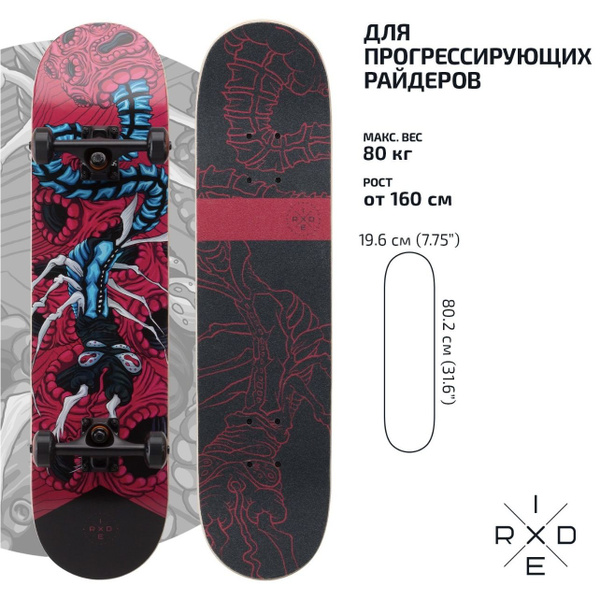 Скейтборд Ridex RIDEXS 80.26 - купить по выгодной цене в интернет ...