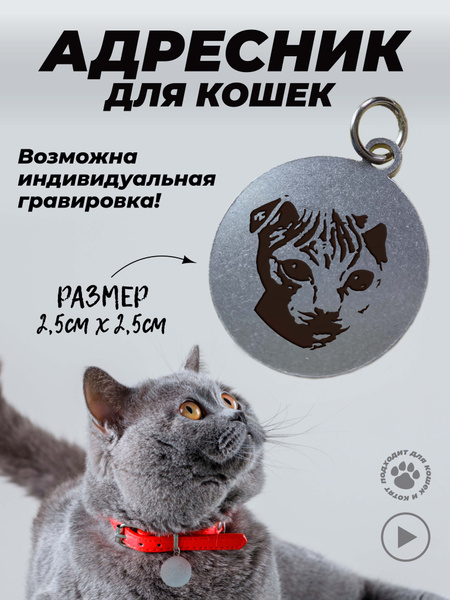 Брелок на ошейник для кошек, адресник с гравировкой, Украинский левкой ...