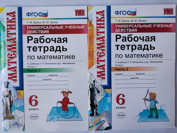 Рабочая тетрадь по математике 6 класс 1 и 2 части / к учебнику ...