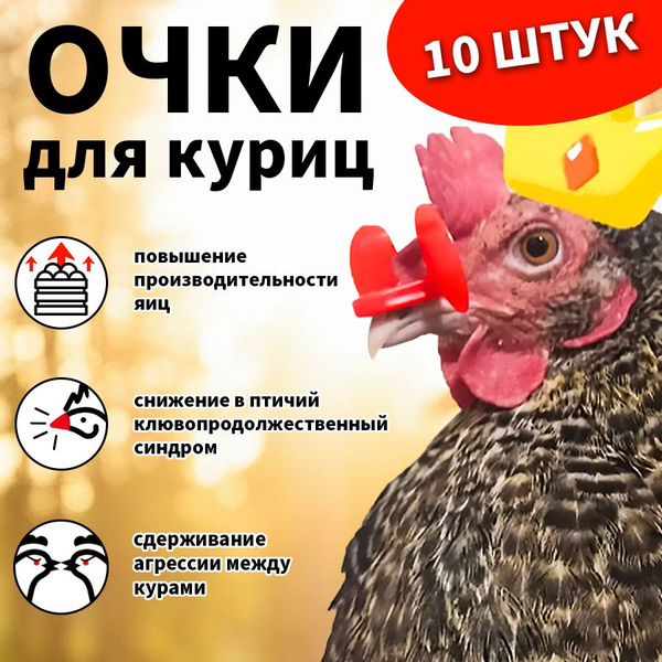Очки от расклева для птиц 10 шт L 78*32мм, защита от клева для кур ...