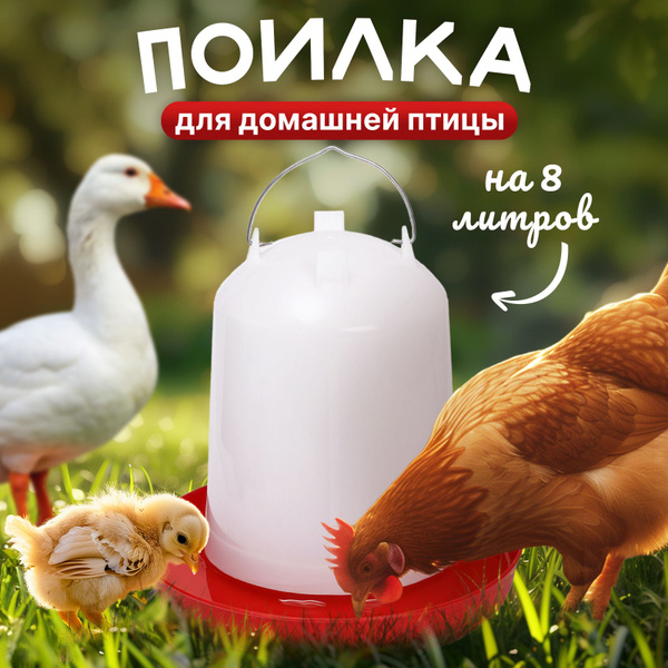 Поилка для цыплят и кур, автоматическая, подвесная, на 8 л купить на ...