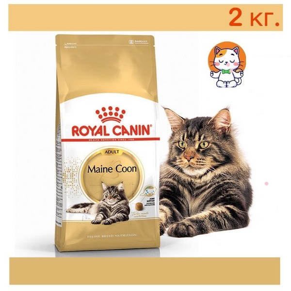 Royal Canin Maine Coon Adult (Мейн кун эдалт) 2 кг Сухой Корм - купить ...