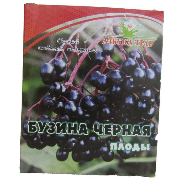 Бузина черная плоды 40 г - купить с доставкой по выгодным ценам в ...