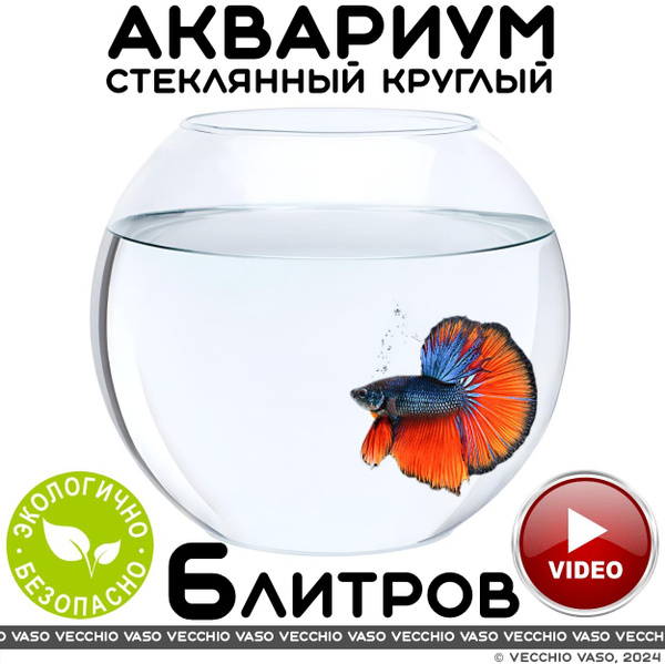 Аквариум для рыбок круглый 6 литров - купить с доставкой по выгодным ...