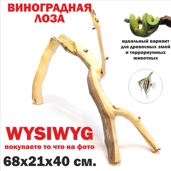 Коряга виноградная лоза натуральная 68х21х40 см/ Визивиг/ декорация для ...