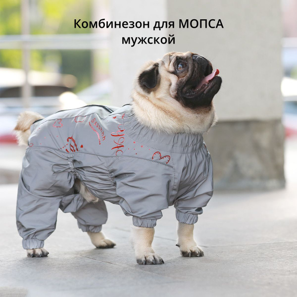 Комбинезон для собак породы мопс Chill Choll влагозащитный ...