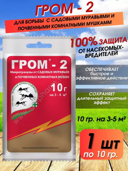 Пестицид Гром 2 средство от муравьев и мушек, 10 г - купить с доставкой ...