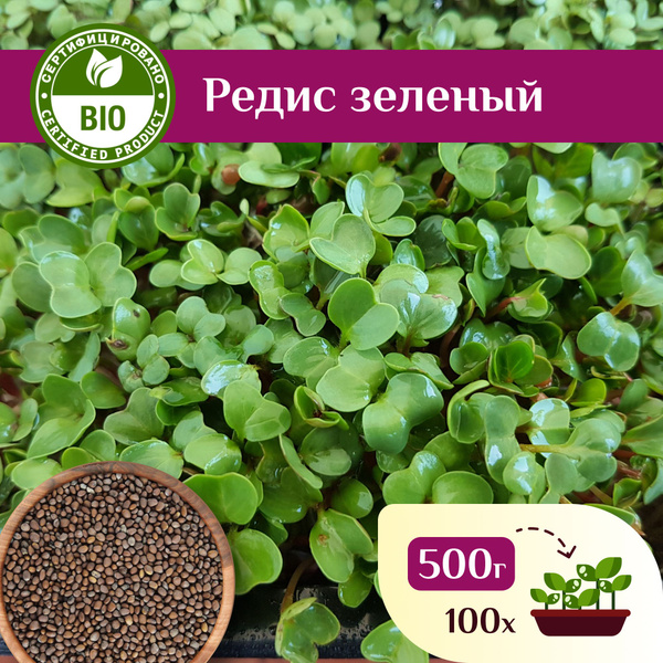 Редис семена, Ильинские проростки 500г - купить с доставкой по выгодным ...