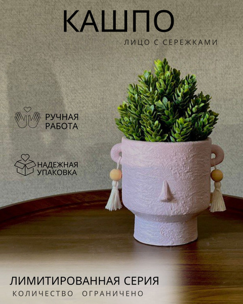 Декоративное кашпо Лицо для суккулентов купить на OZON по низкой цене ...