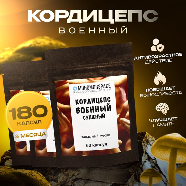 Спорт бустер Кордицепс военный, Cordyceps militaris в капсулах 3 месяца ...