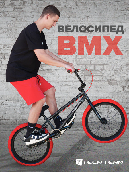 Велосипед двухколесный трюковой BMX Grasshopper 20 - купить по выгодной ...