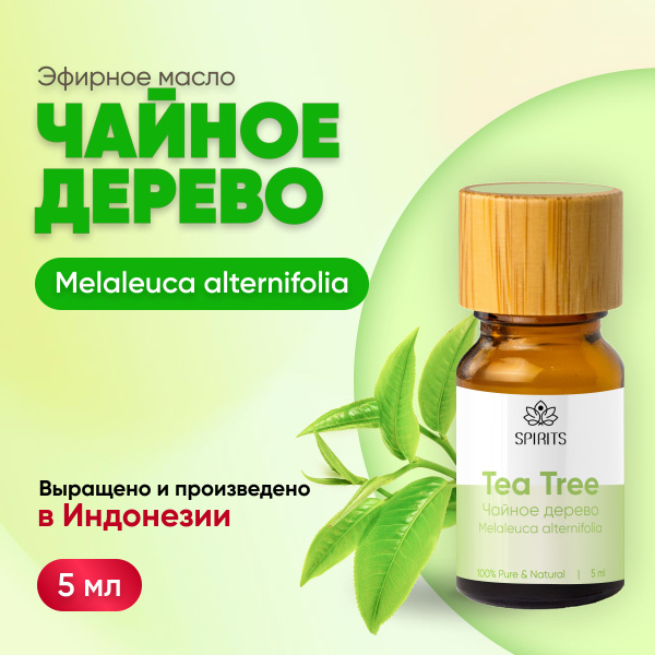 Эфирное масло Чайное дерево (Melaleuca alternifolia), Индонезия, 5 мл ...
