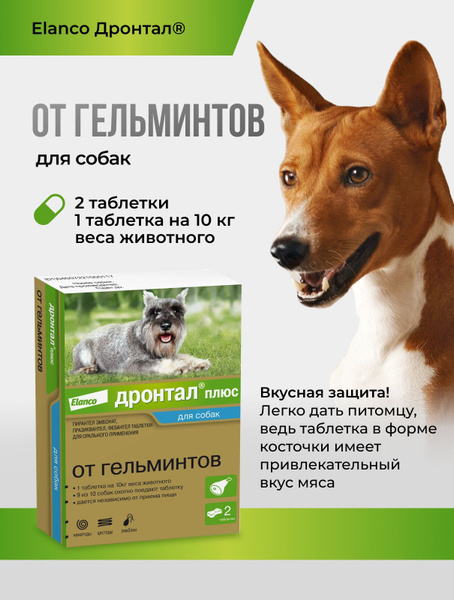 Дронтал плюс со вкусом мяса, 2 табл. 50 мг купить на OZON по низкой ...