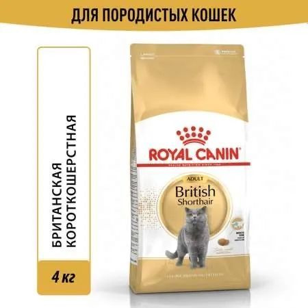 Royal Canin British Shorthair Adult (Роял Канин Эдалт со вкусом птицы ...
