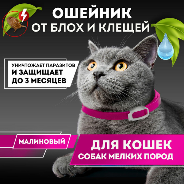Ошейник для кошек и собак мелких пород от блох и клещей БИО ZOOJOY 35см ...