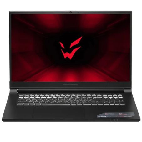 Ноутбук Ardor Gaming Neo G17 I5nd205 Купить