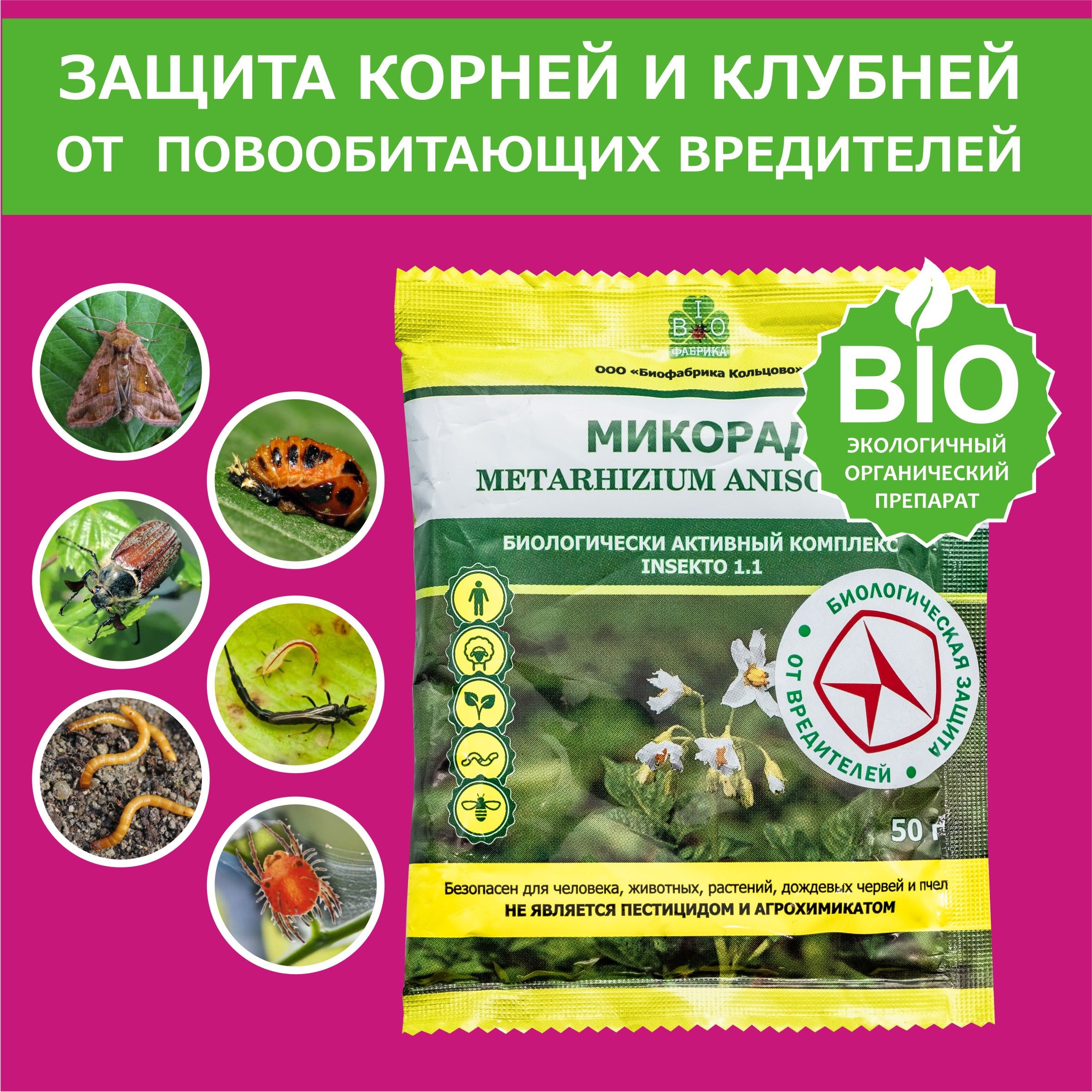 Биофунгицид Биофабрика Кольцово mikoradtlkline_50 50 г - купить по выгодным  ценам в интернет-магазине OZON (245054890)