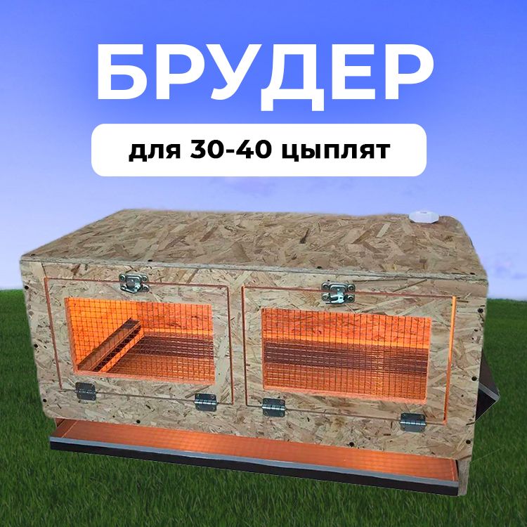 Брудеры для цыплят