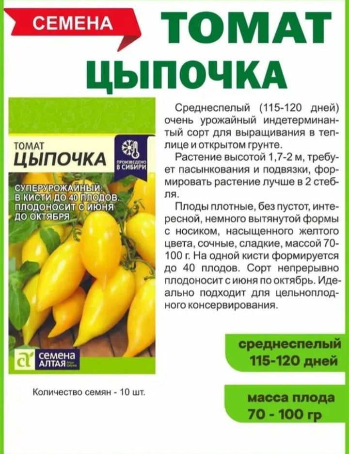 Томат цыпочка характеристика и описание сорта фото