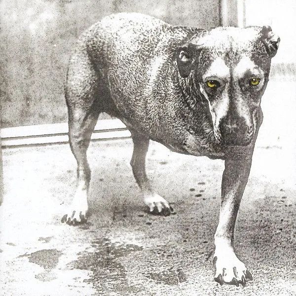 Alice In Chains - Alice In Chains (1995) (CD)