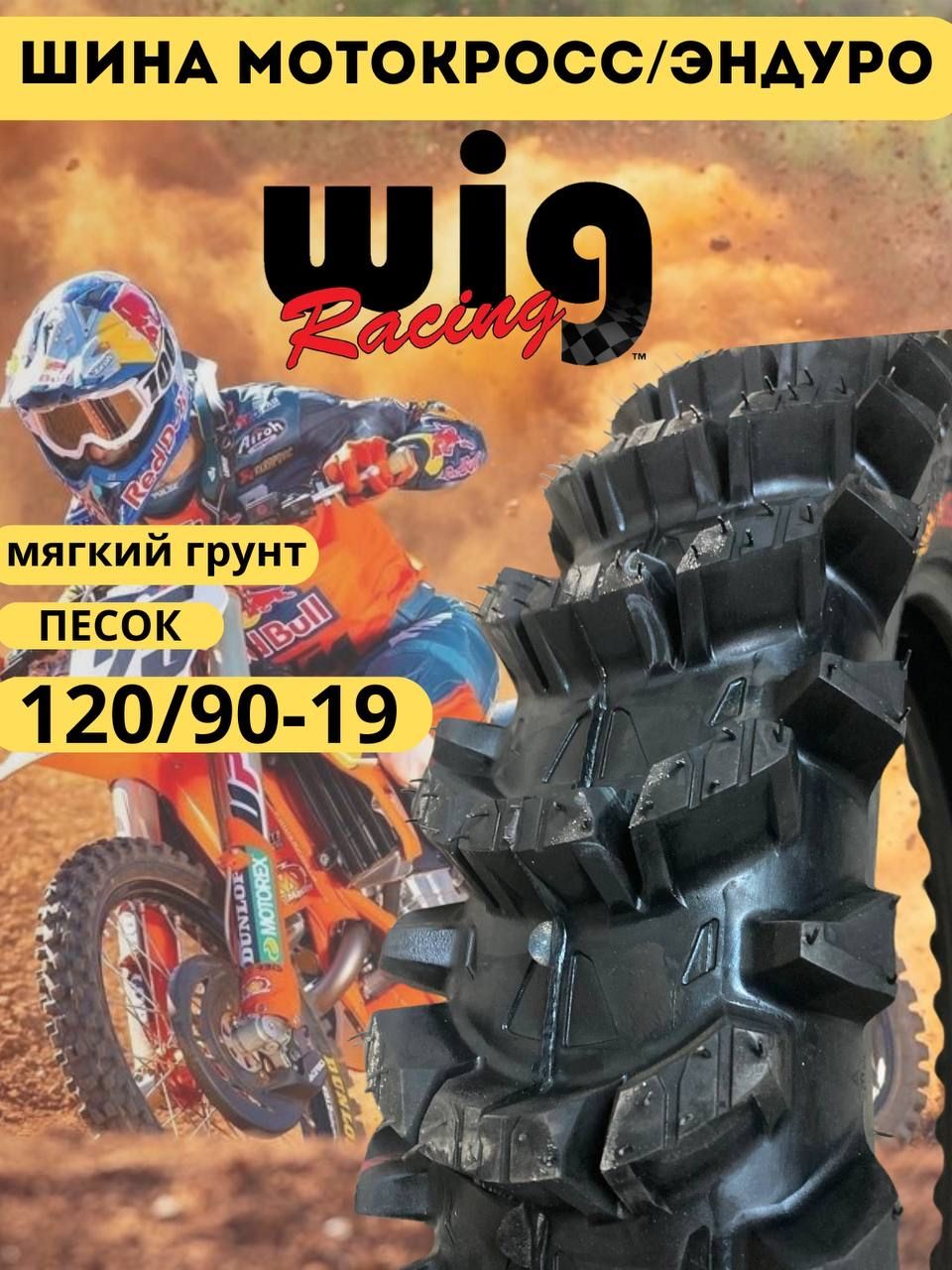 WigRacingМотошины120/90R19100B