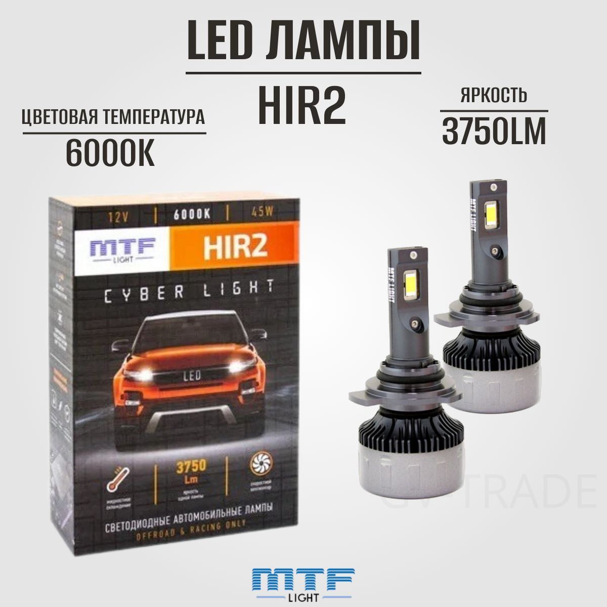 Лампа автомобильная MTF Light 12 В, 2 шт. купить по низкой цене с доставкой  в интернет-магазине OZON (737168643)