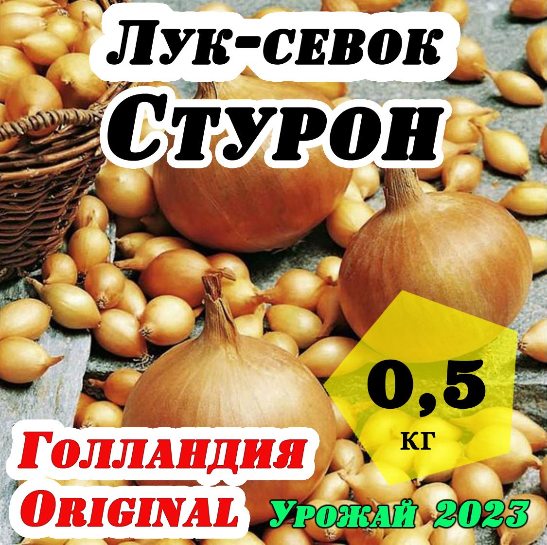 Лук Стурон Описание Сорта Фото Отзывы Цена