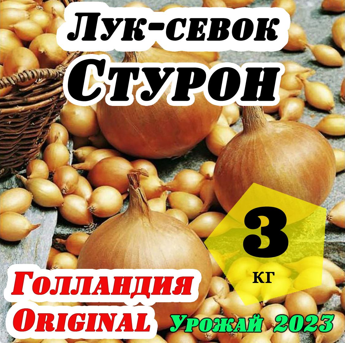 Лук Стурон Описание Сорта Фото Отзывы Цена