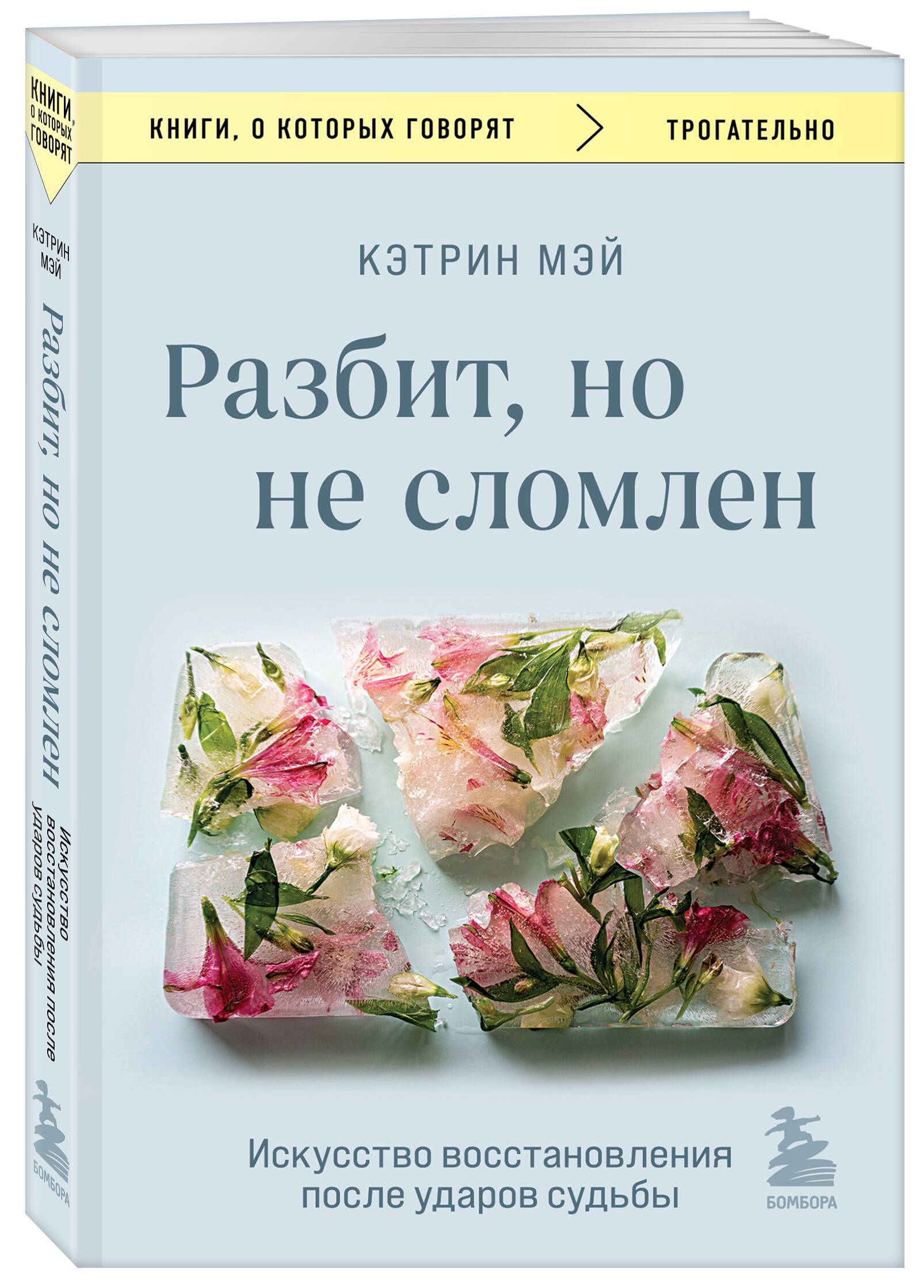 Разбит, но не сломлен. Искусство восстановления после ударов судьбы | Мэй  Кэтрин - купить с доставкой по выгодным ценам в интернет-магазине OZON  (1486023813)