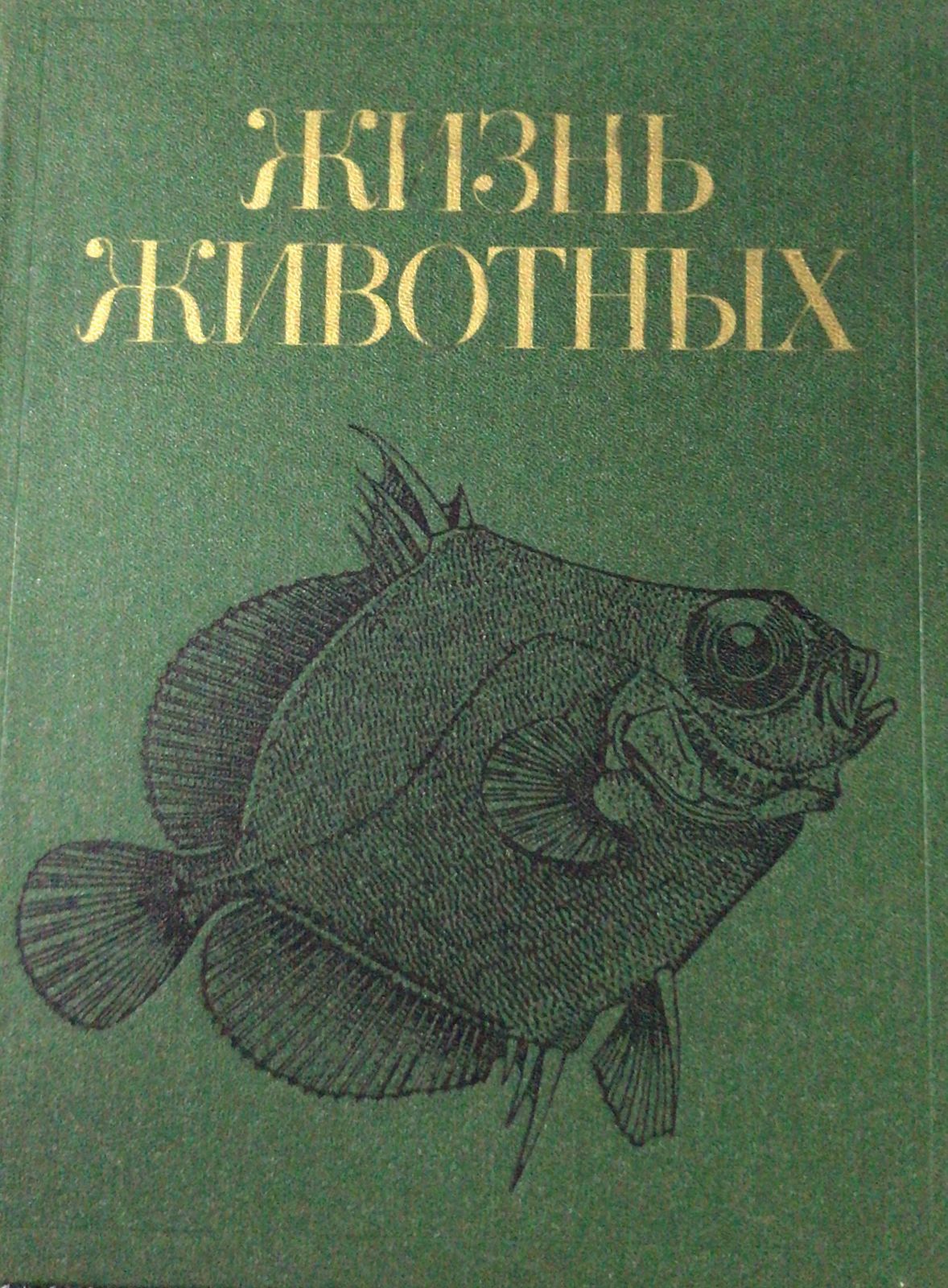 Моя Рыба Будет Жить Купить Книгу