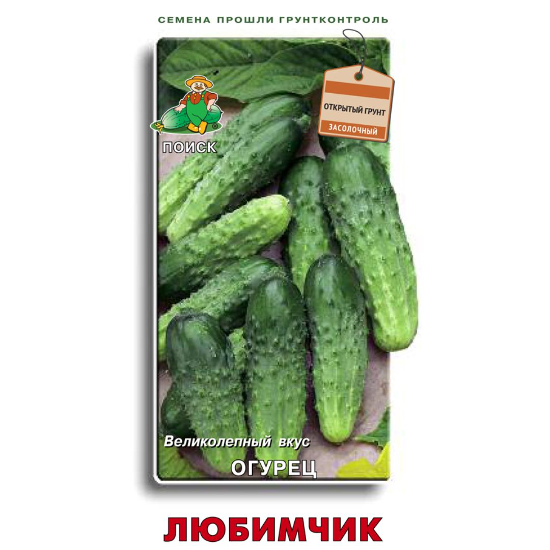 Огурец любимец хозяйки f1. Огурцы маленький любимчик f1. Огурцы маленький любимчик f1. Огурец любимчик отзывы. Семена гавриш огурец любимчик 0,5 г.