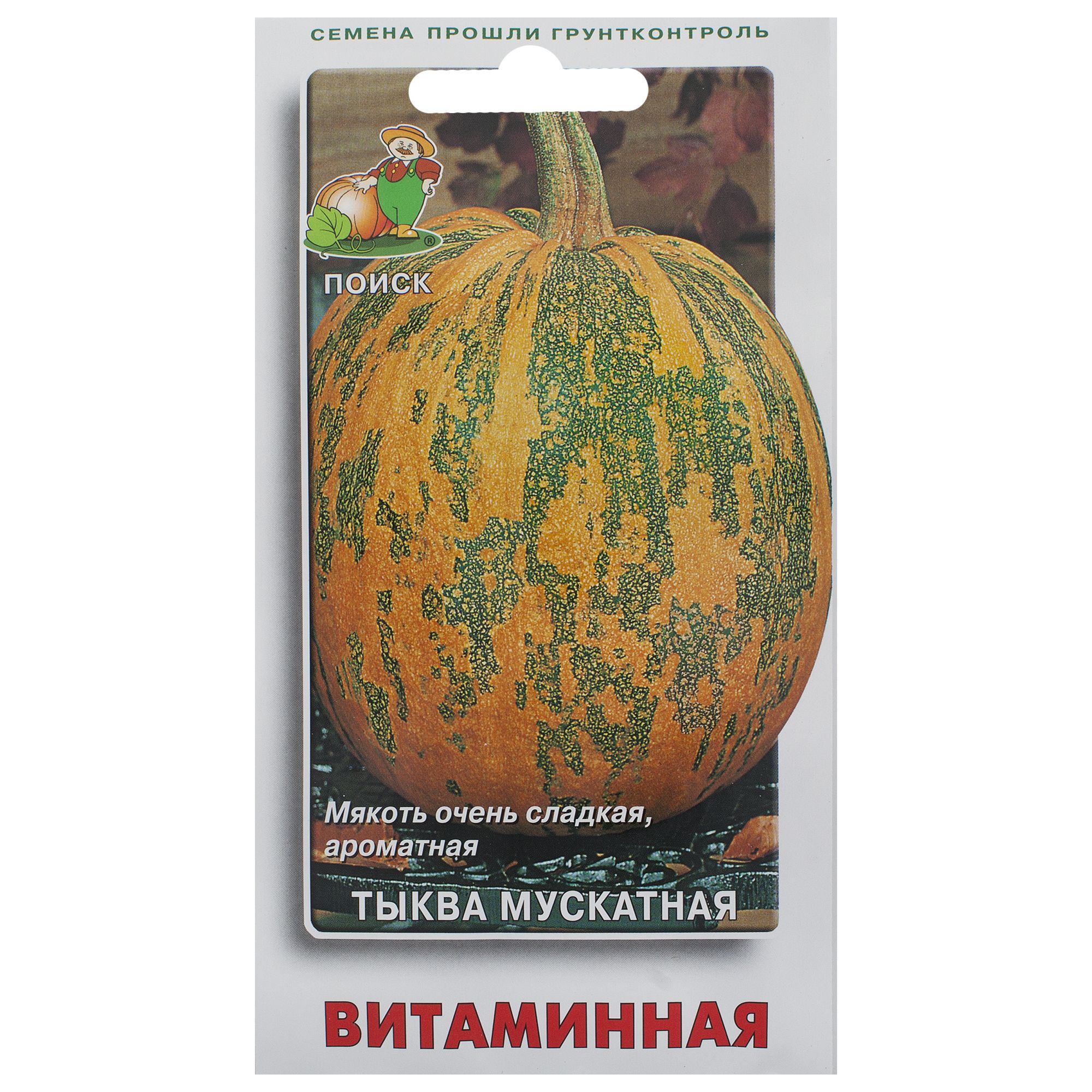 Тыква Витаминная Фото