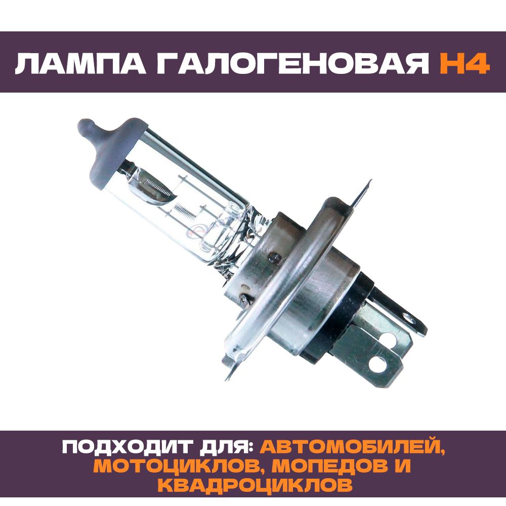 Лампа 12v 50w p42s лампа тракторная маяк. Кэп лампы. Лампа кэп. Кэп лампочки. Цоколь тракторной лампы.
