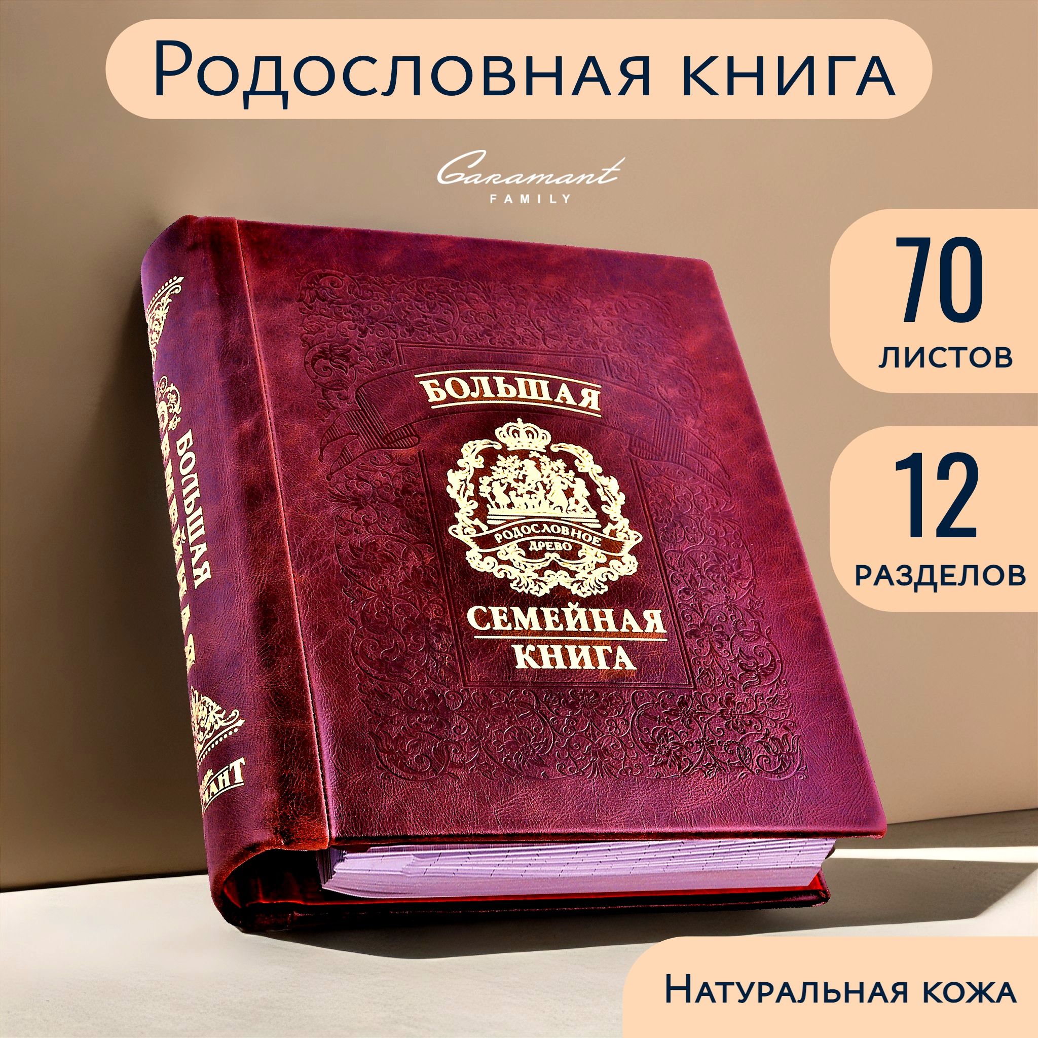 Большая Семейная Родословная книга 