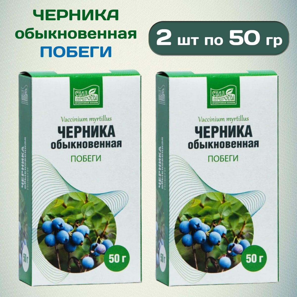 Черника обыкновенная Побеги Сила природы, 2 шт по 50 гр