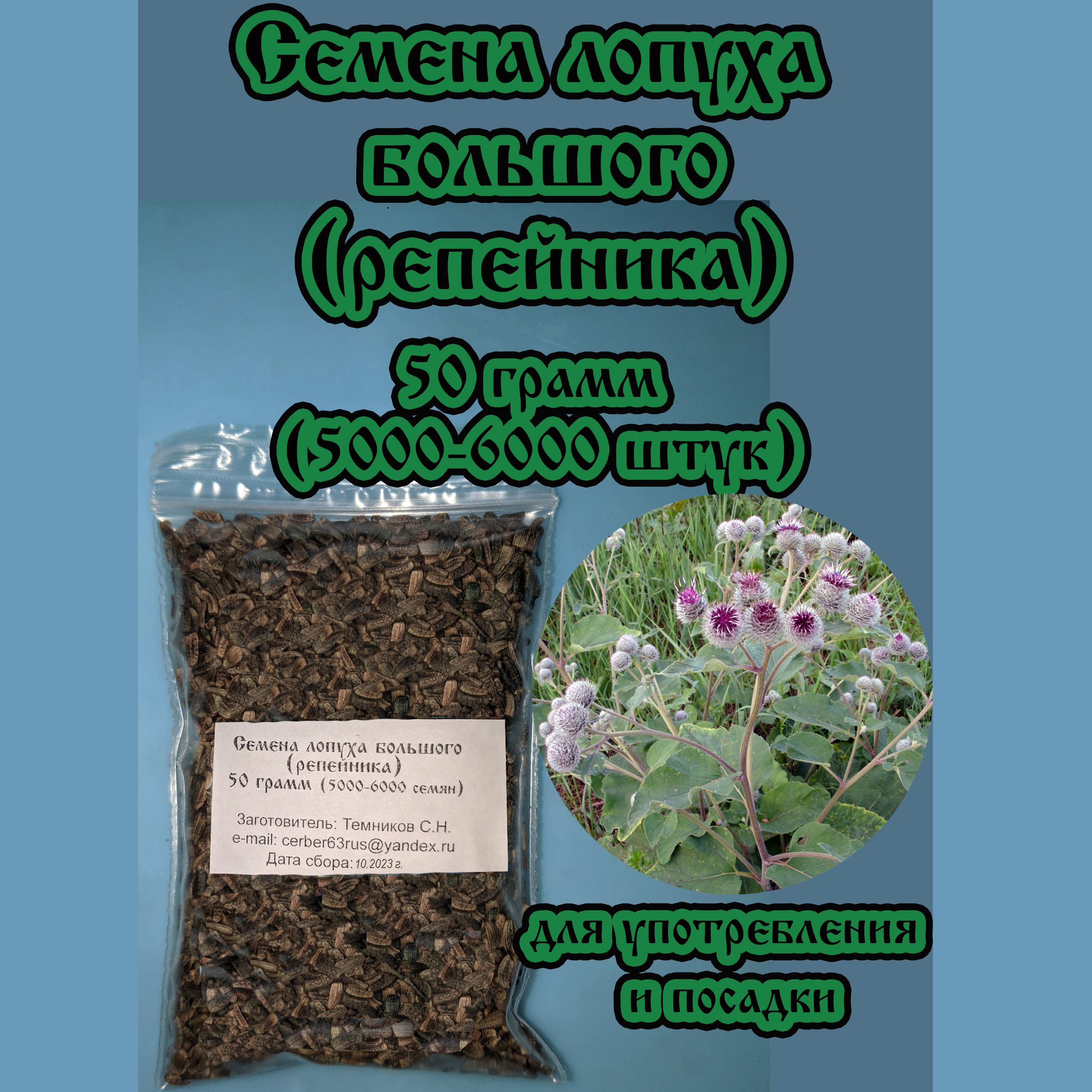 Семеналопухабольшого(репейника)/50грамм