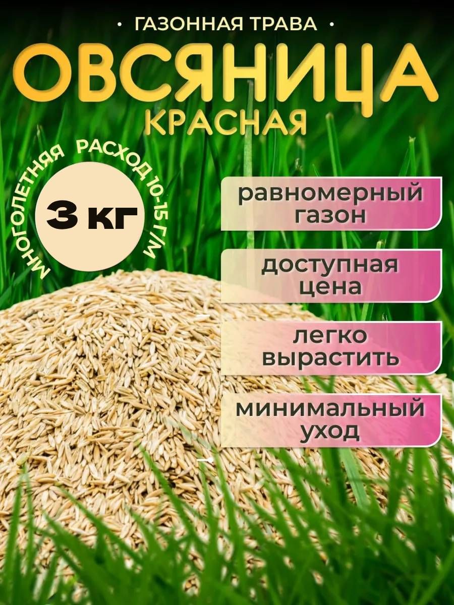 Газонная трава семена Овсяница красная 3кг, Зеленый Метр