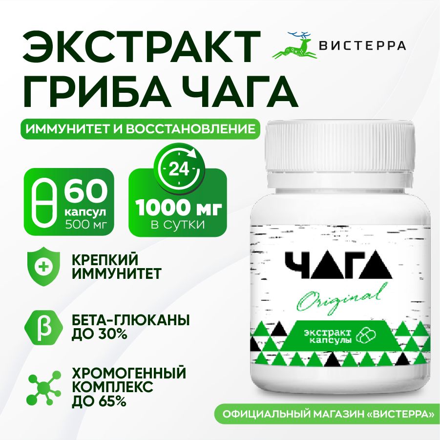 Чага Original экстракт Вистерра, капсулы 60 шт