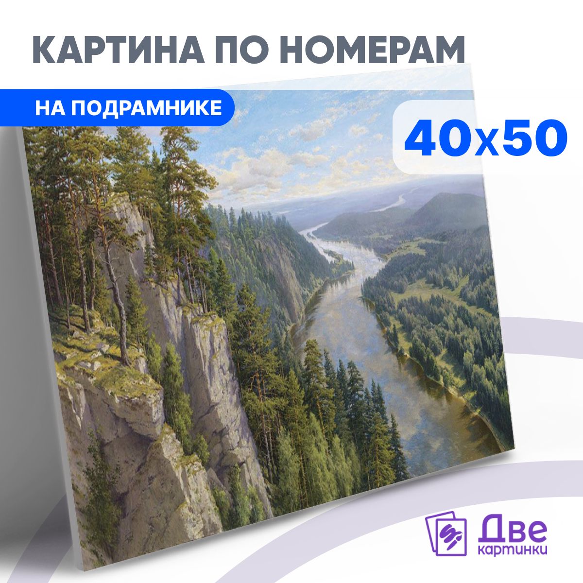 Картинапономерам40х50смнаподрамнике1шт."Вольныйветер,БасовС."