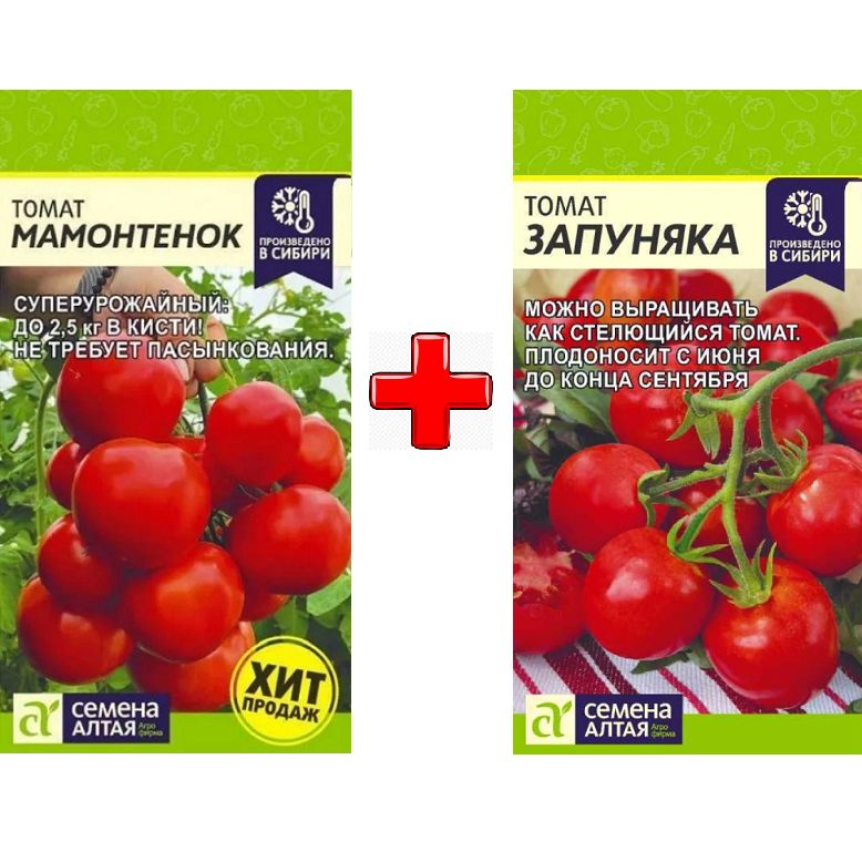 Семена Зяпуняка Помидор Купить