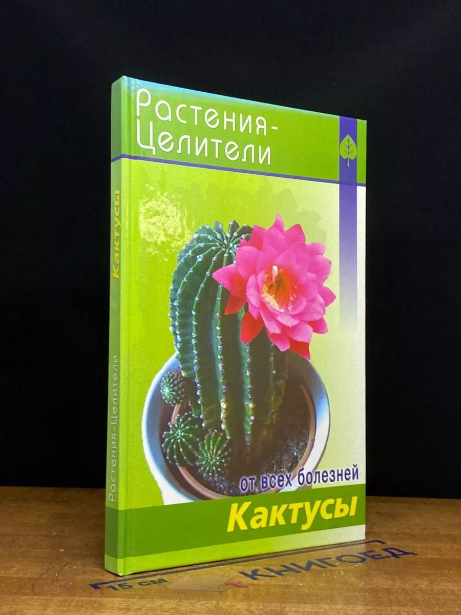 Кактусы