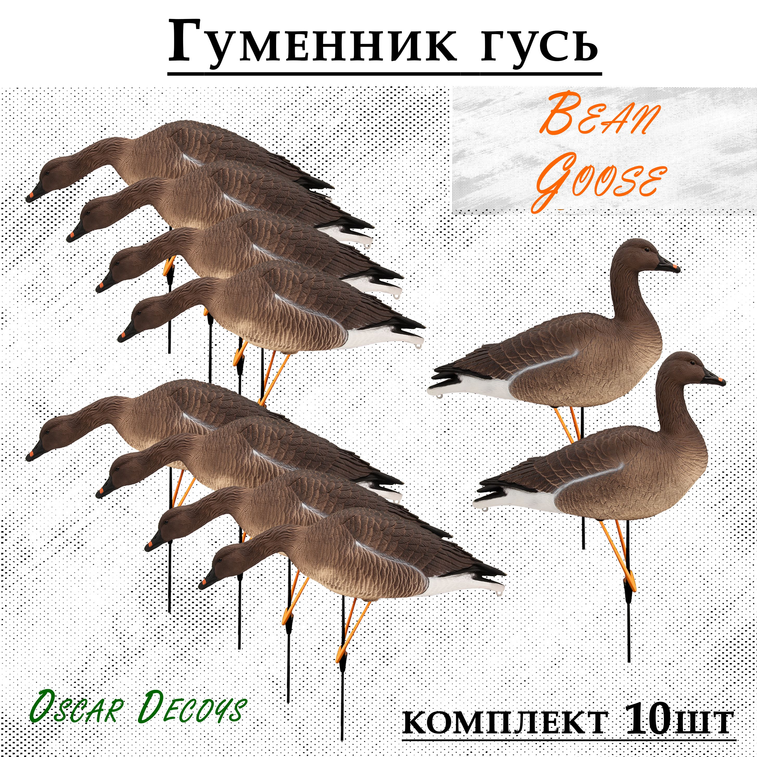 Чучело гусей для охоты Гуменник гусь Greylag Goose, мягкий пластик 10шт (8+2)