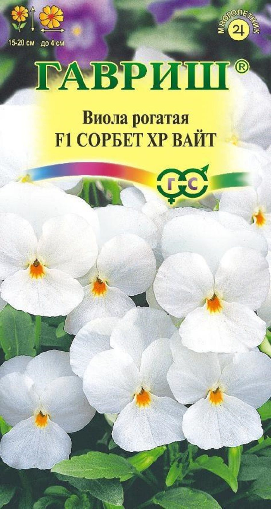 Семена Виолы Купить В Интернет Магазине