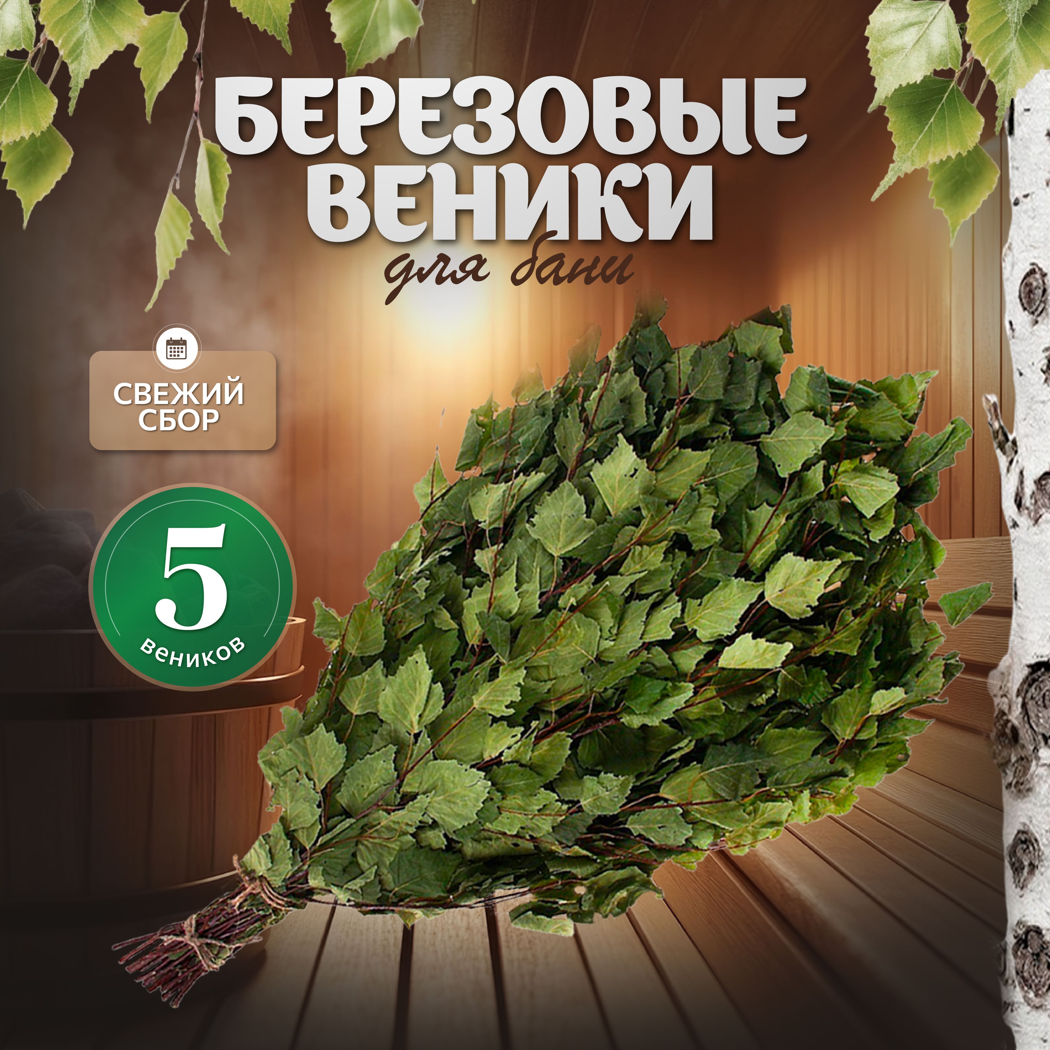 Веник для бани Березовый, 5 шт. 