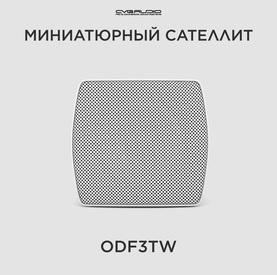 CVGAUDIO ODF3TW Настенная Public Address акустическая система 100V