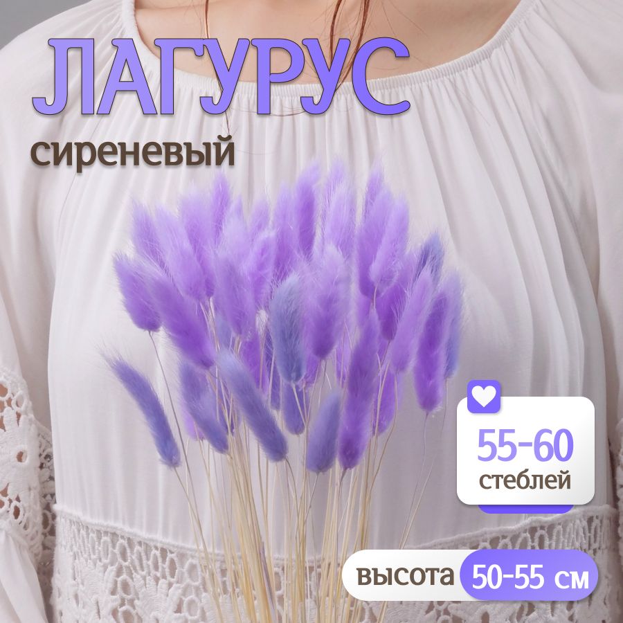 Лагурус сиреневый Сухоцветы от Elka.bio